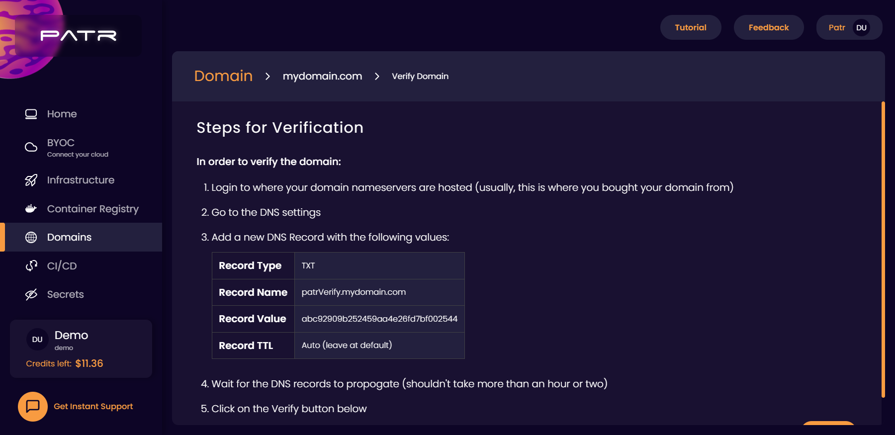 Screenshot of instructions to verify an external domain